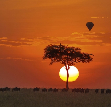 Hot Air Balloon Maasai Mara Early Morning Safari