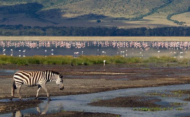 2-Day Tarangire & Ngorongoro Crater from Zanzibar